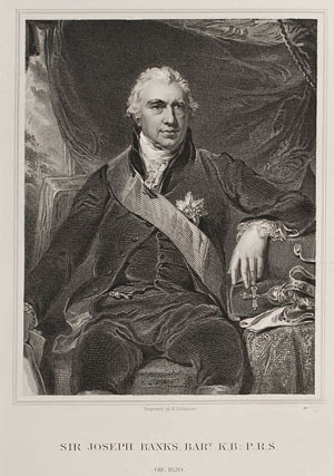 Henry Robinson antique engraving